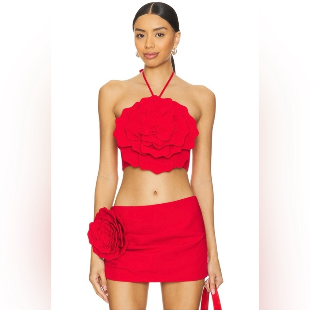 Lovers + Friends Zora Crop Top and Matching Skort Medium